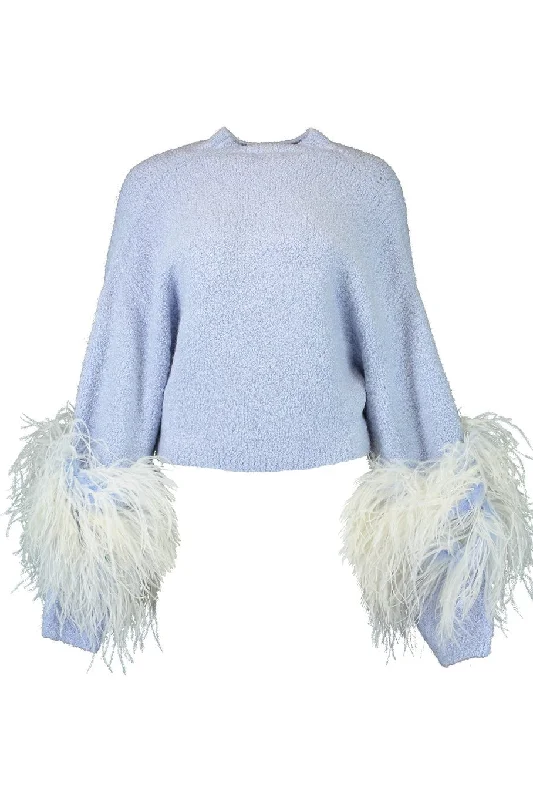 Ostrich Feather SweaterCropped Knit Tops